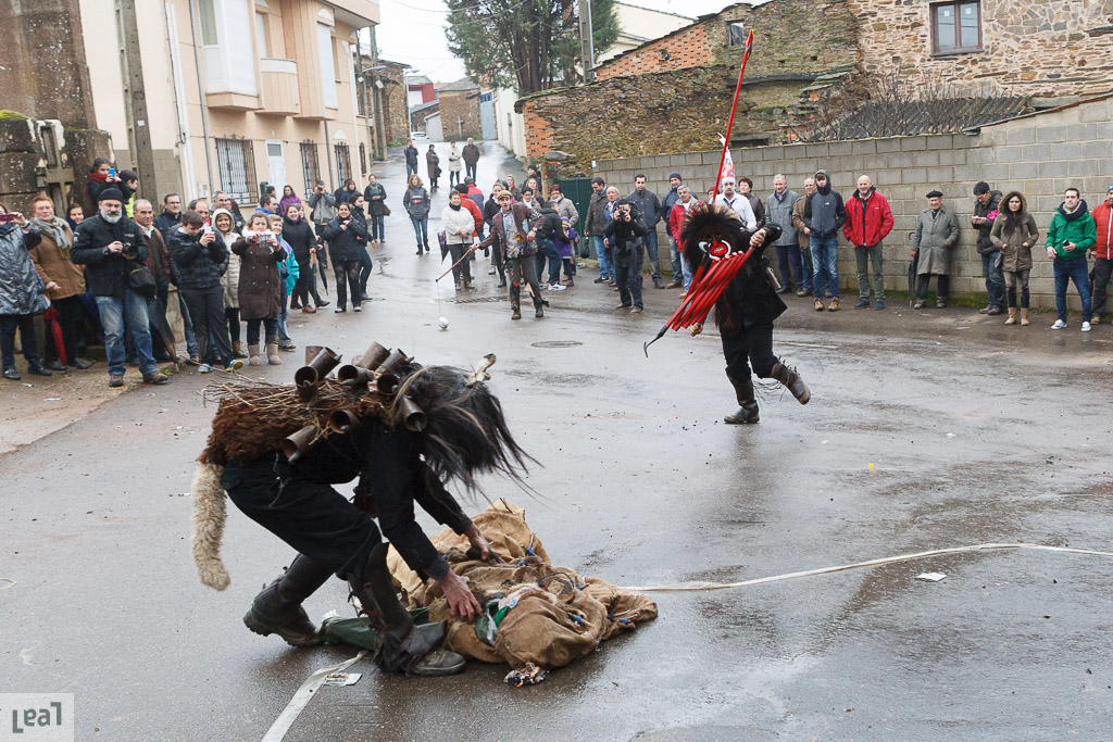 Los Carochos De Riofr O De Aliste Jos Luis Leal Fotograf A