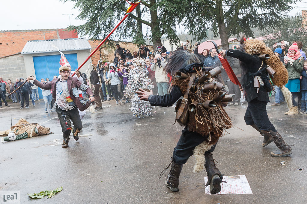 Los Carochos De Riofr O De Aliste Jos Luis Leal Fotograf A